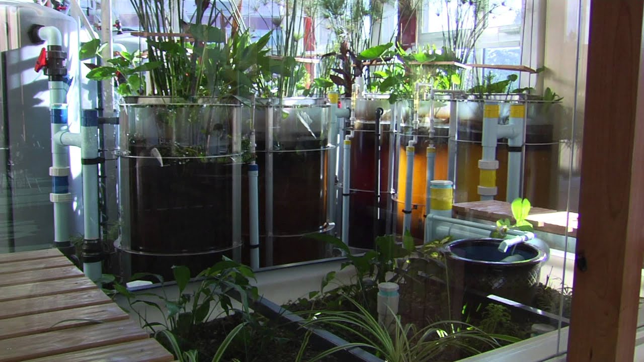 UVM Eco-Machine