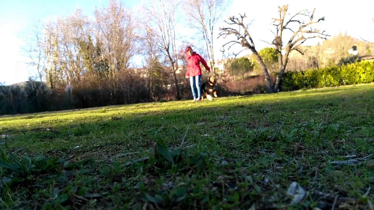Oberythmee training - Alie l'Austrachien