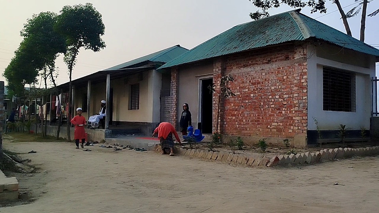 Beautiful Countryside Walk | Bangladesh Village Life || ecovill