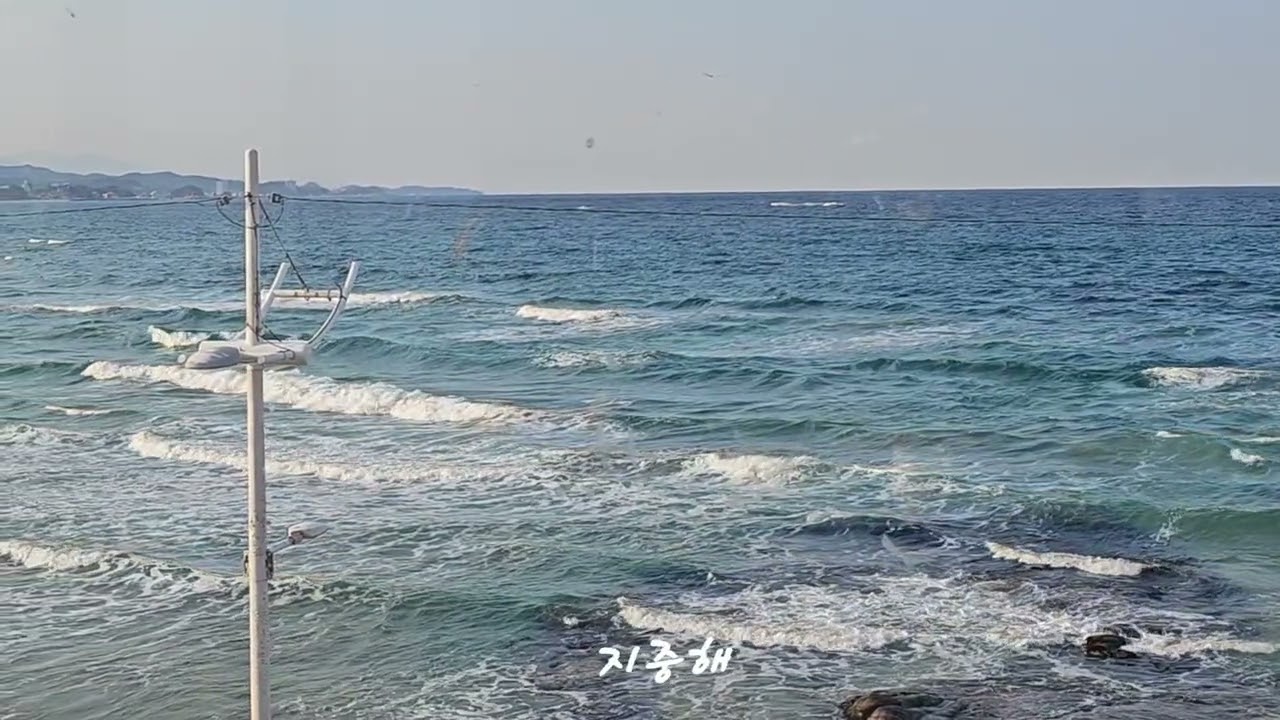 지중해 (박상민)#알토색소폰연주 #문라이프 