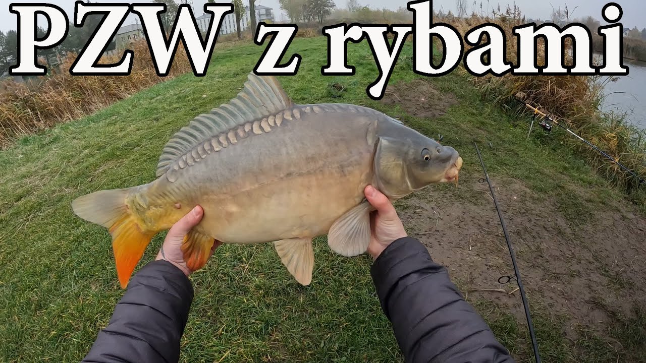 Mała Woda PZW