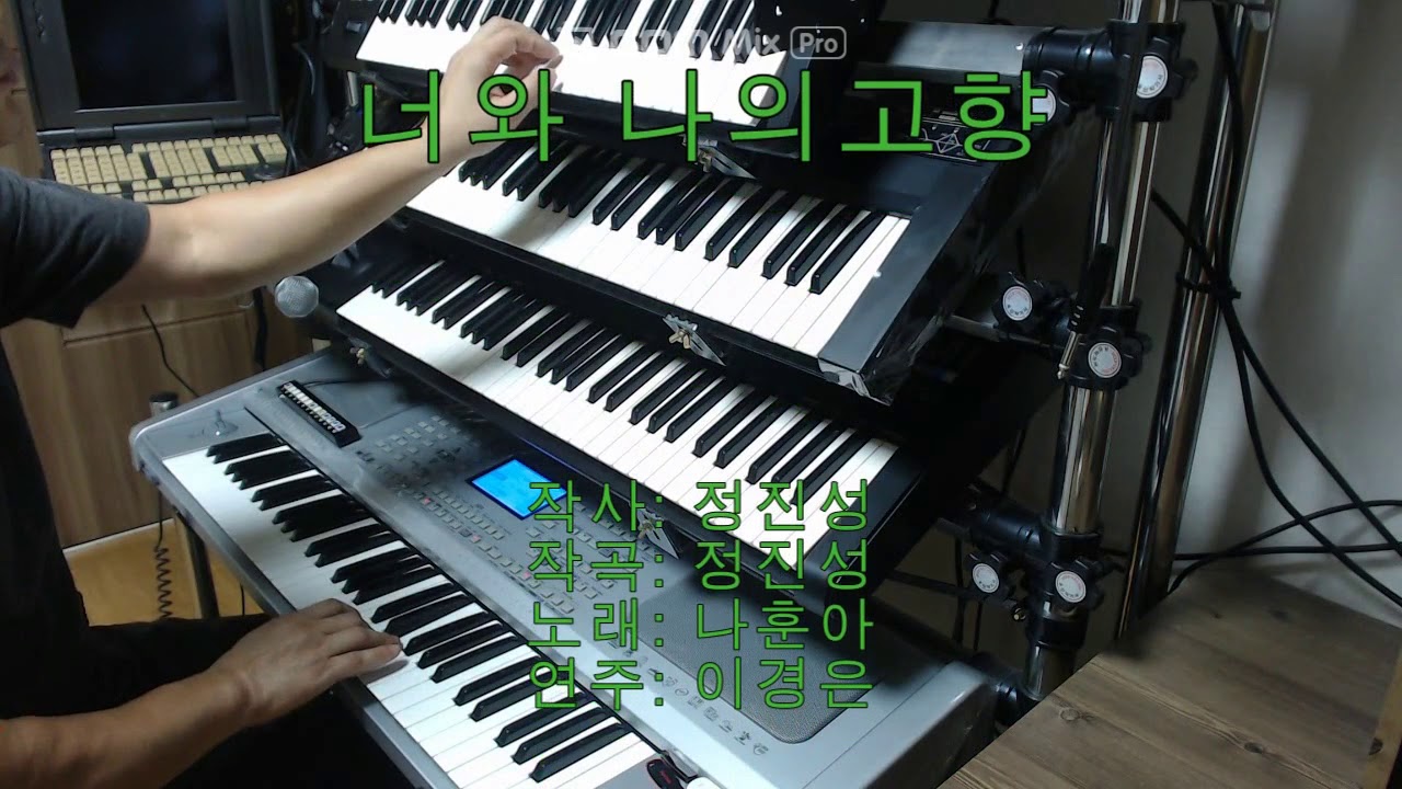 전자올겐 나훈아 너와나의고향