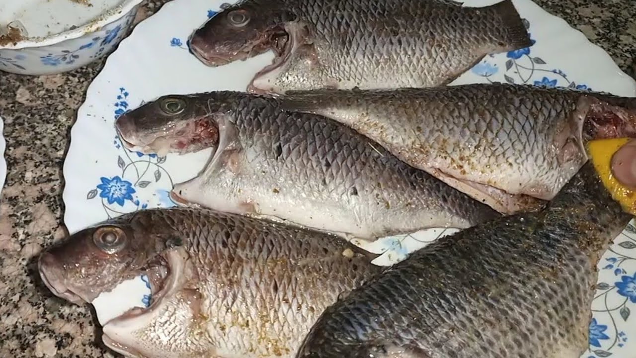 سويت السمك في الميه  بدون نقطة زيت والنتيجة جميلة اوي