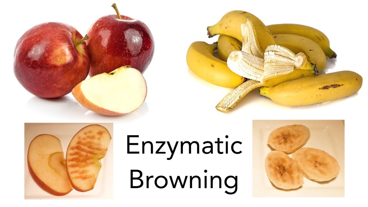 Why Do Apples and Bananas Turn Brown? - STEM activity