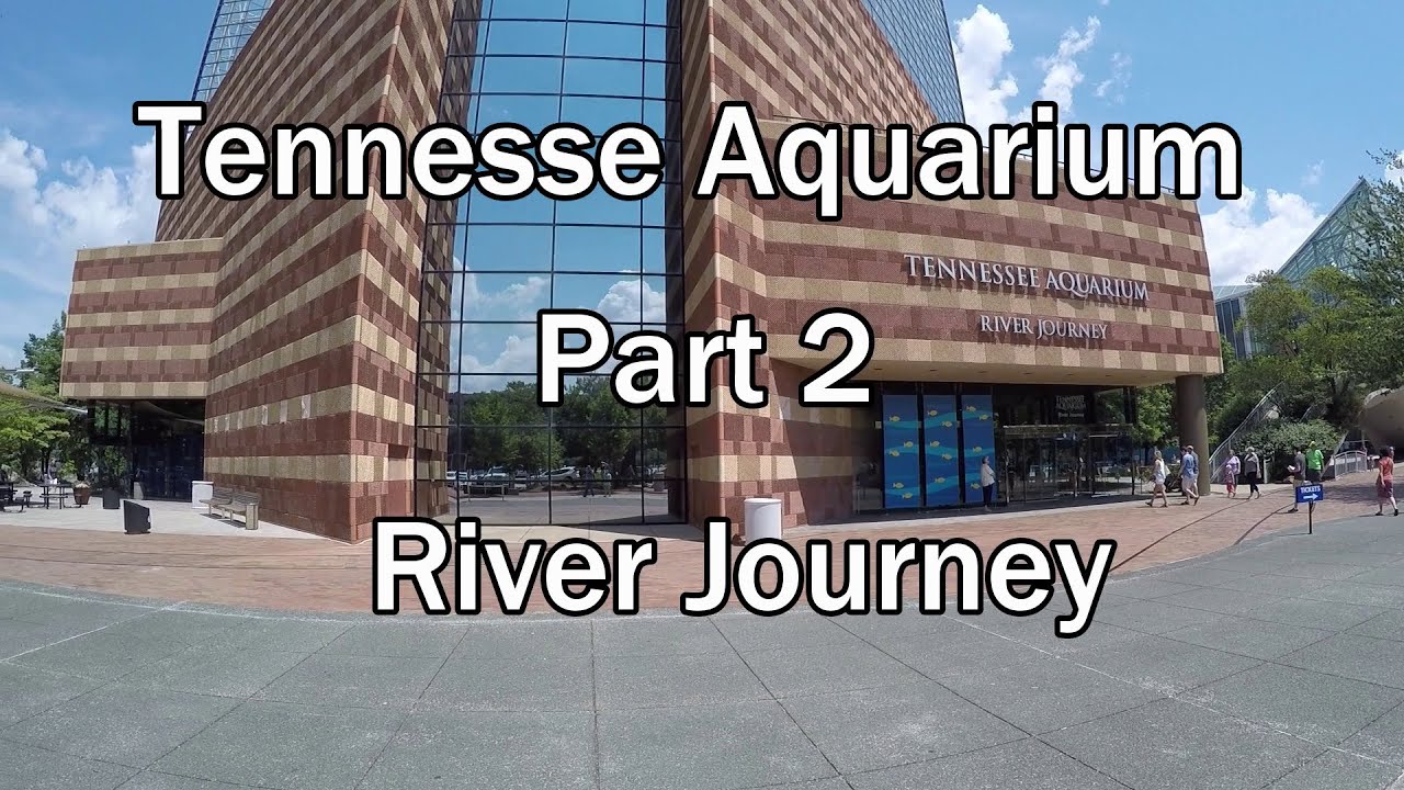 Tennessee Aquarium River Journey