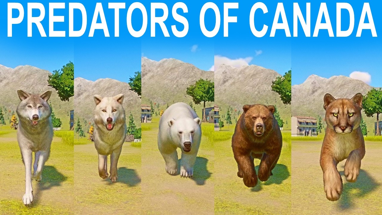 Predators of Canada Speed Race in Planet Zoo included Cougar, Grizzly Bear, Polar Bear, Arctic Wolf