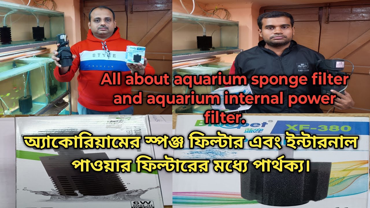 All about sponge filter and aquarium power filter. অ্যাকোরিয়ামের স্পঞ্জ ফিল্টার এবং পাওয়ার ফিল্টার