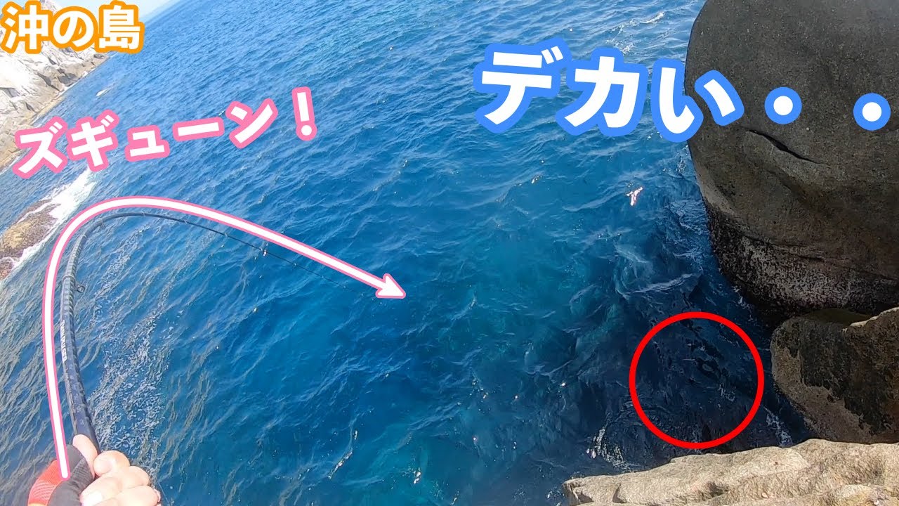 高知県沖の島で磯釣り！尾長グレが現れる！？