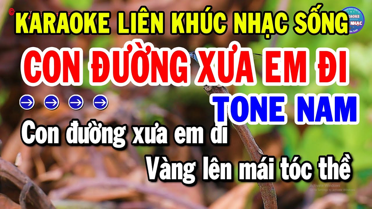 Karaoke Liên Khúc Tone Nam Dễ Hát | Chọn Lựa Nhạc Bolero Đỉnh Cao Nhất - Con Đường Xưa Em Đi
