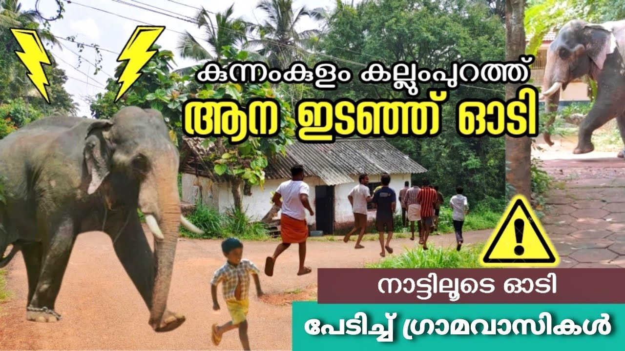 ആന ഇടഞ്ഞു നാട്ടിലൂടെ മണിക്കൂറോളം ഓടി നാട്ടിൽ ഭീതി പരത്തി
