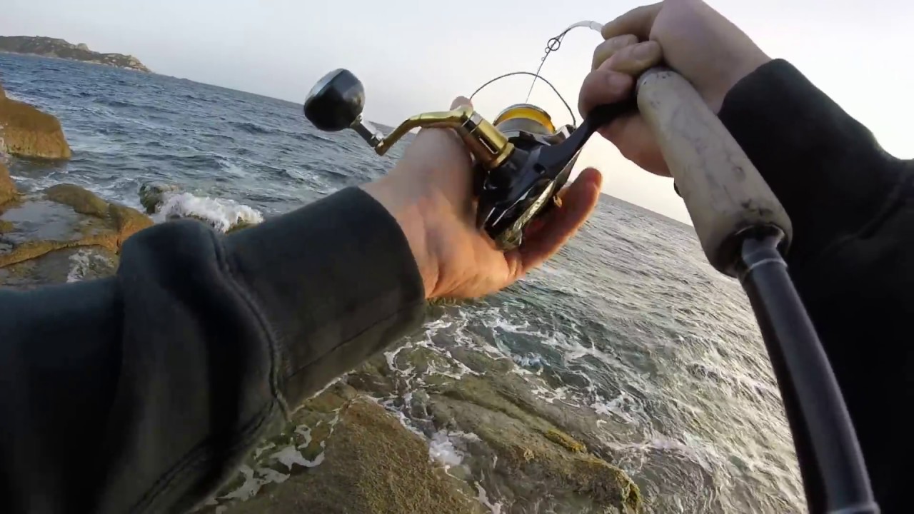 SPINNING INSHORE - Un mostro inaspettato / An unexpected monster