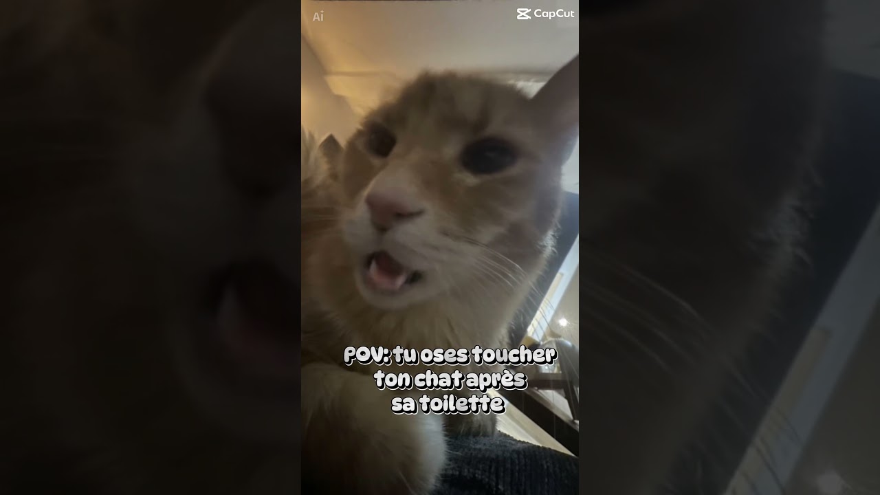 #Peur