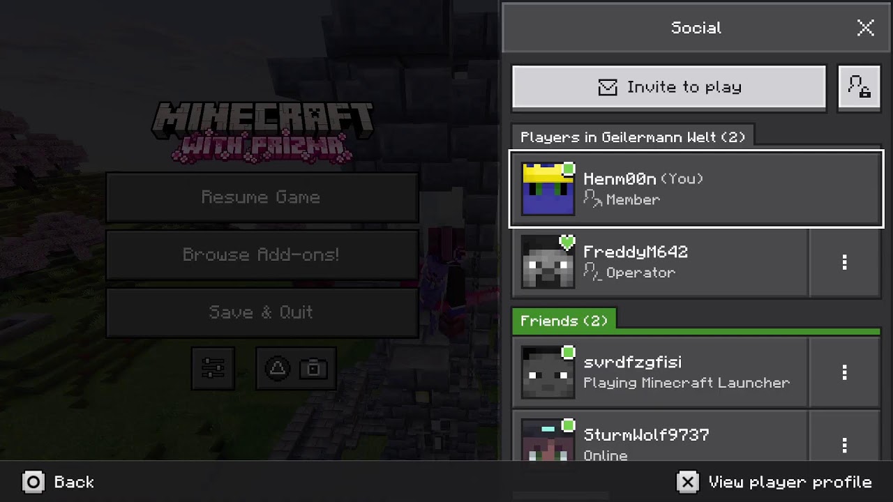 Minecraft Projekt Bau (Ruins)
