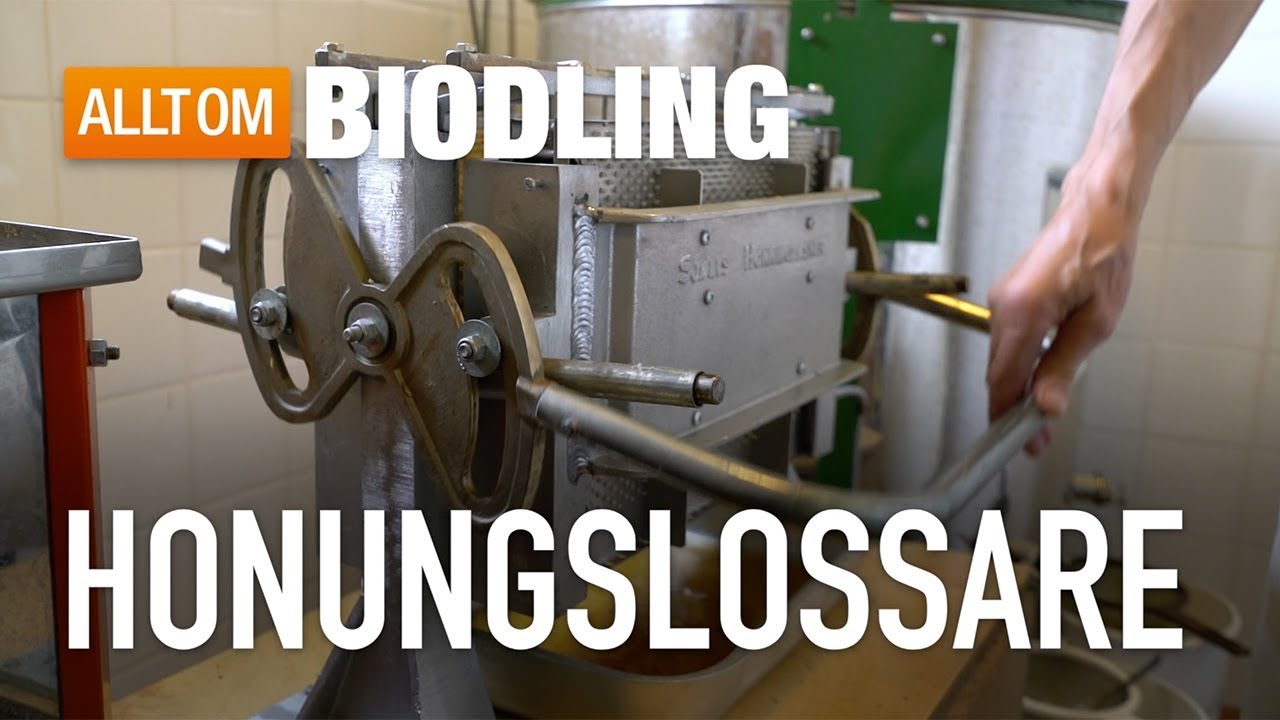 Honungslossare för ljunghonung - Biredskap - Biodling