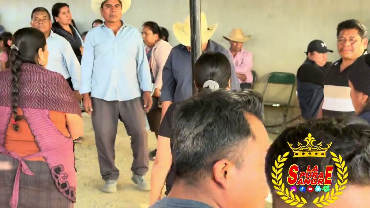 Baile Tradicional Jarabe Del Valle De Oaxaca 16/02/2026