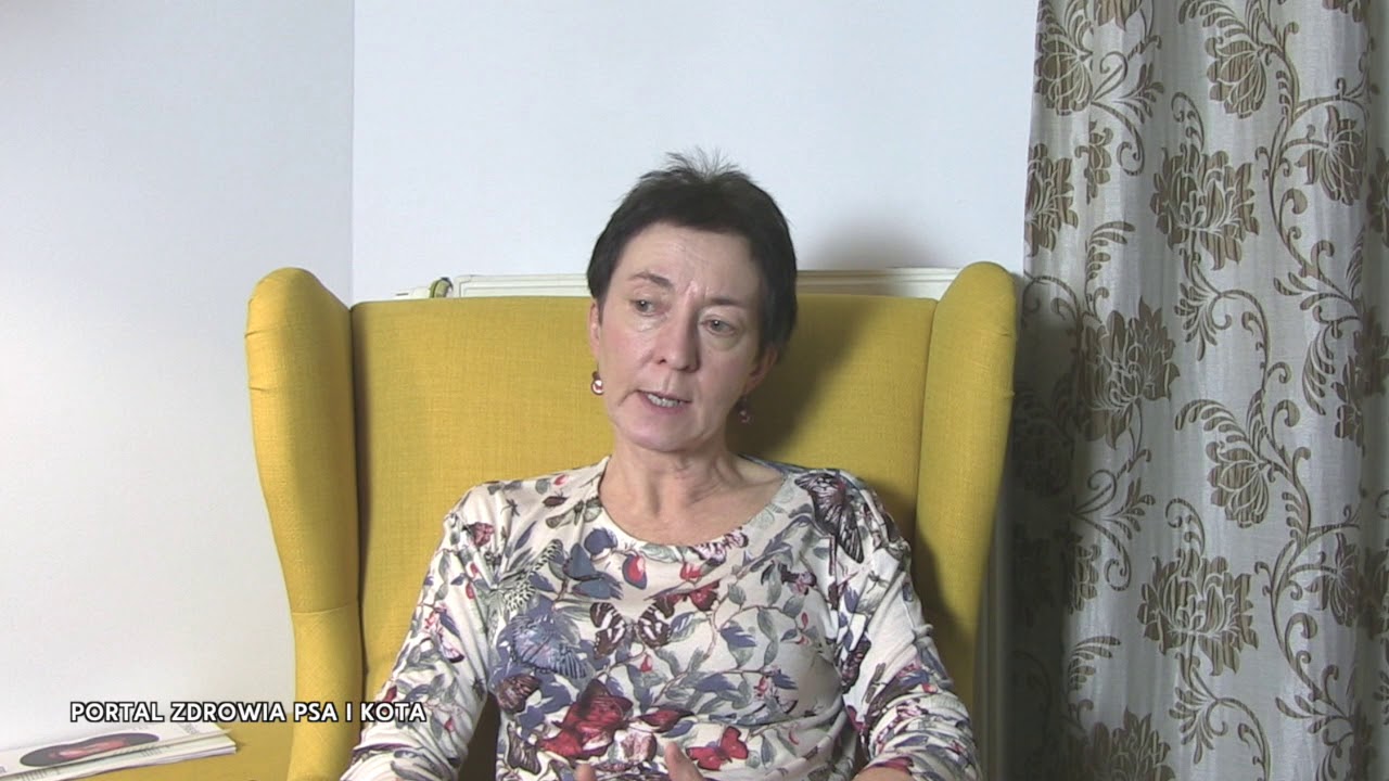 Kot Senior - czego się po nim spodziewać? Antonina Kondrasiuk - zoobehawiorystka