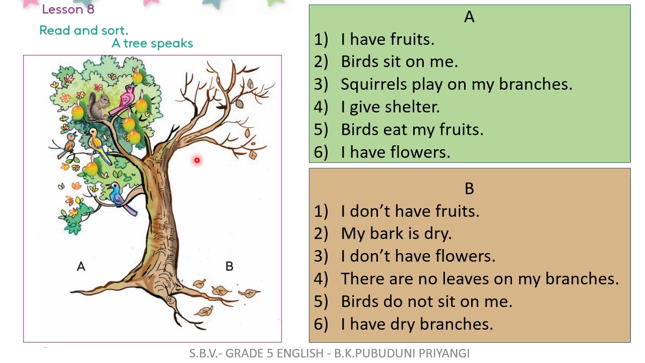 GRADE 5 ENGLISH - Unit 2  - Lesson 8