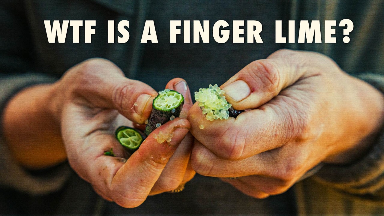 Citrus Caviar?! We Tried California’s Weirdest Citrus | Discover A California Finger Lime Farm