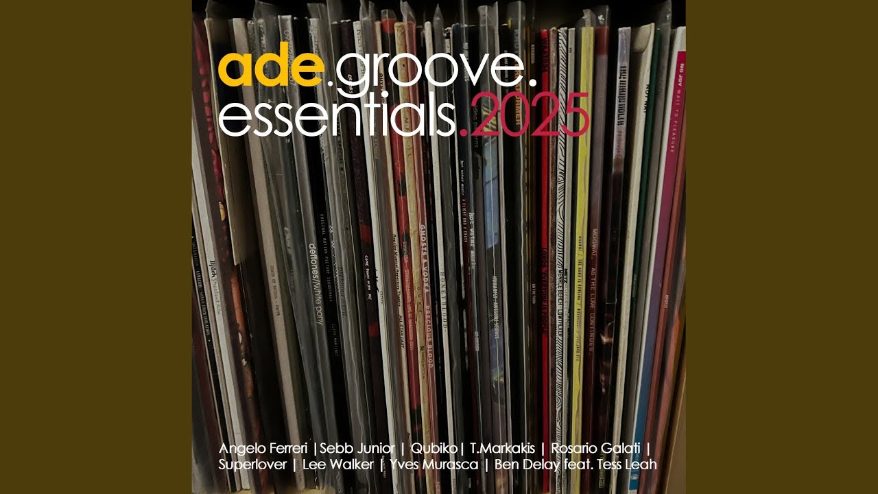 All About Housemusic (Sebb Junior Extended Remix)