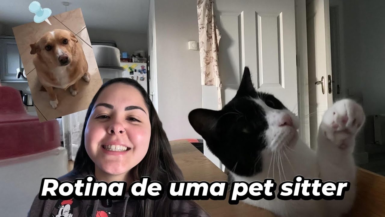COMO É CUIDAR DE CACHORRO E GATO GANHANDO DINHEIRO NA IRLANDA?