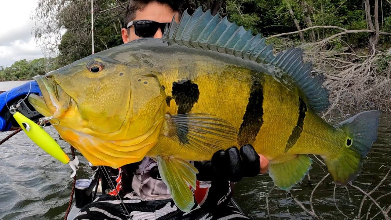 Isca Devassa 9cm  ,, não pode faltar na tralha do pescador @YaraIscasArtificiais