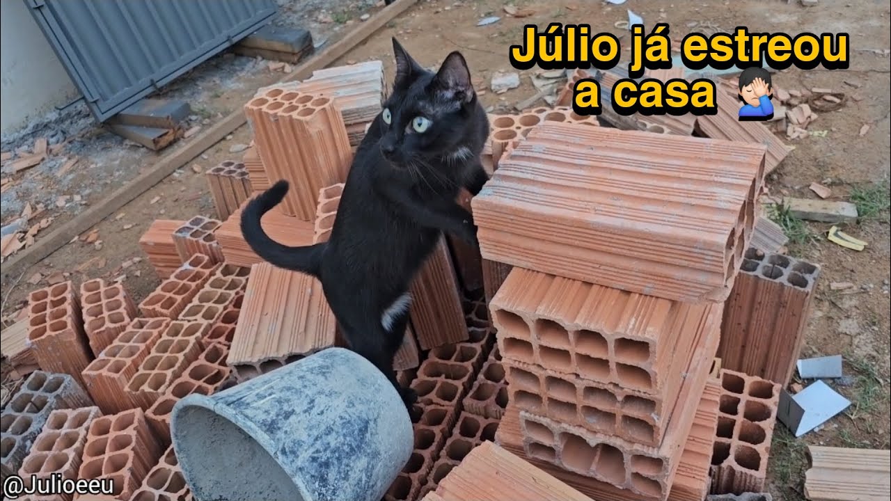 Só falta isso para a gente se mudar !!  😄 #VLOG