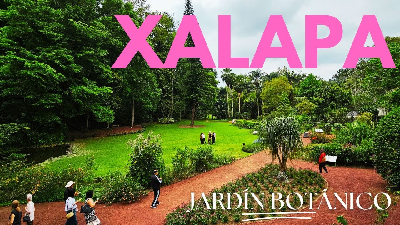 Descubre el Jardín Botánico de Xalapa  ¿El más hermoso de México?
