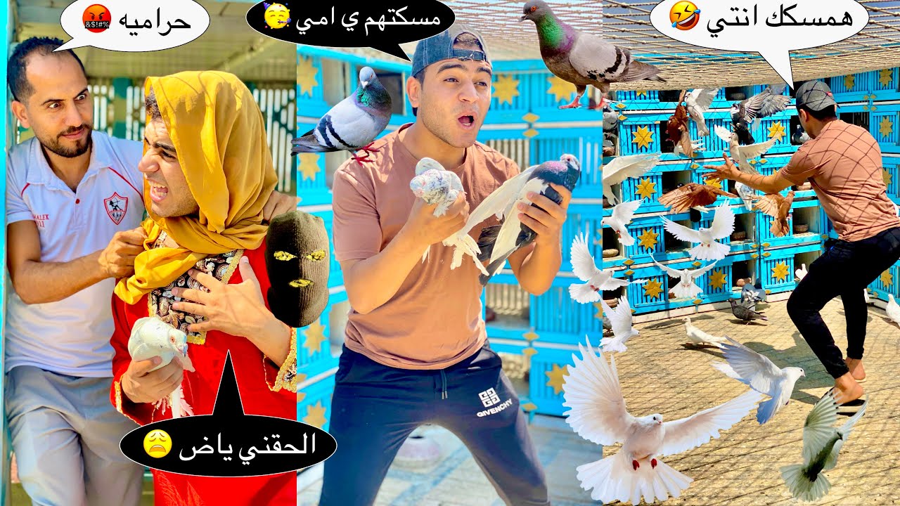 لما امك واخوك الصغير يسرقوا حمام من عند الجيران ويتقفشفوا 😂😂♥️