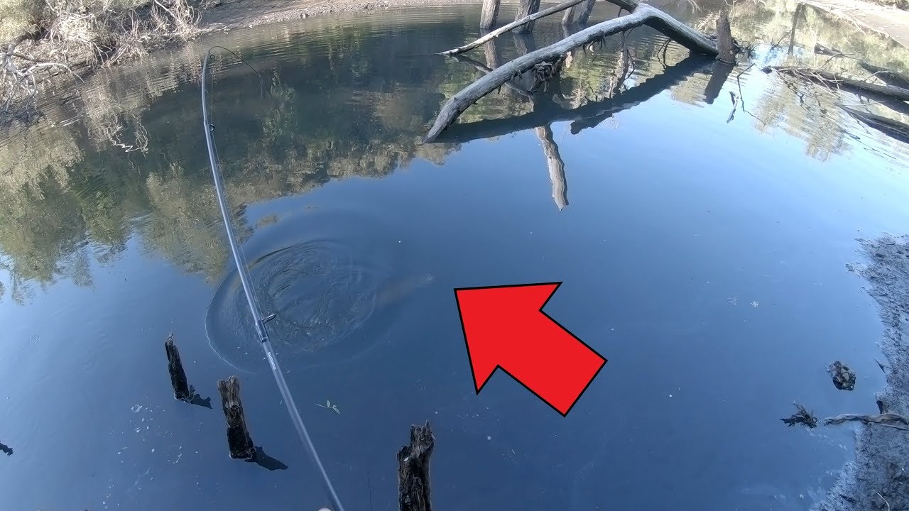 Gran Trucha Pescada a vinilo en embalse ( Episodio Piloto)