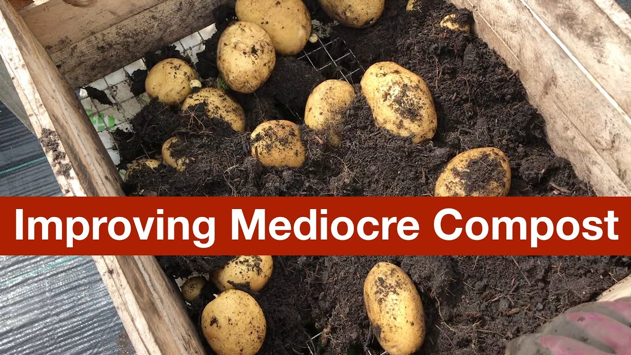 Improving Mediocre Compost - Part 1 of the Potato Grow Bag Trials