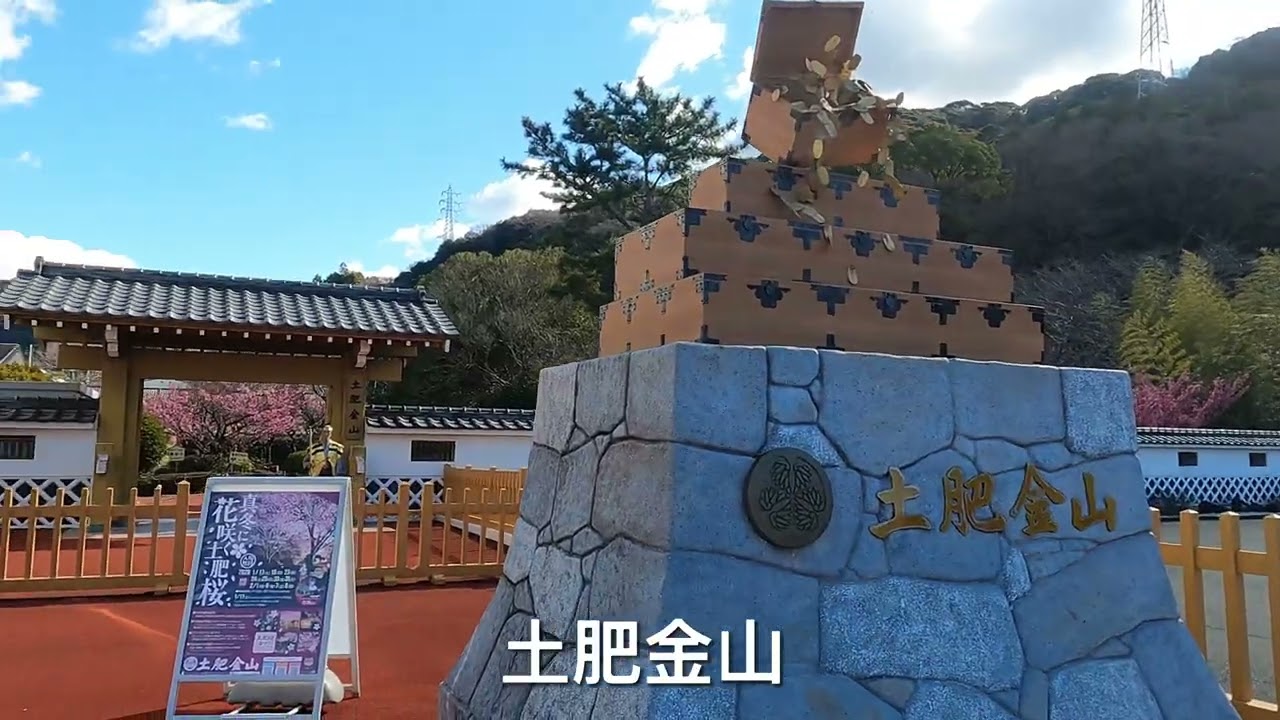西伊豆土肥桜祭り2026年1月