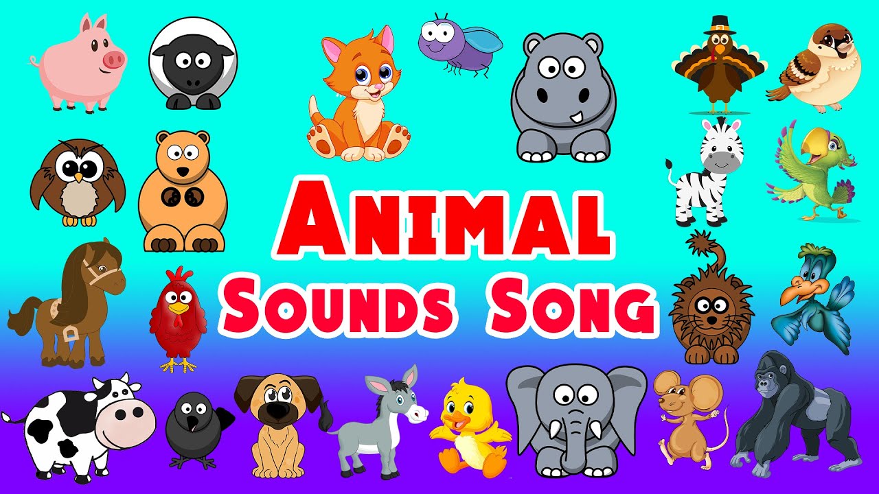 Animal Sounds Song | Animal Sounds & More Animal Songs | LittleKidsTV