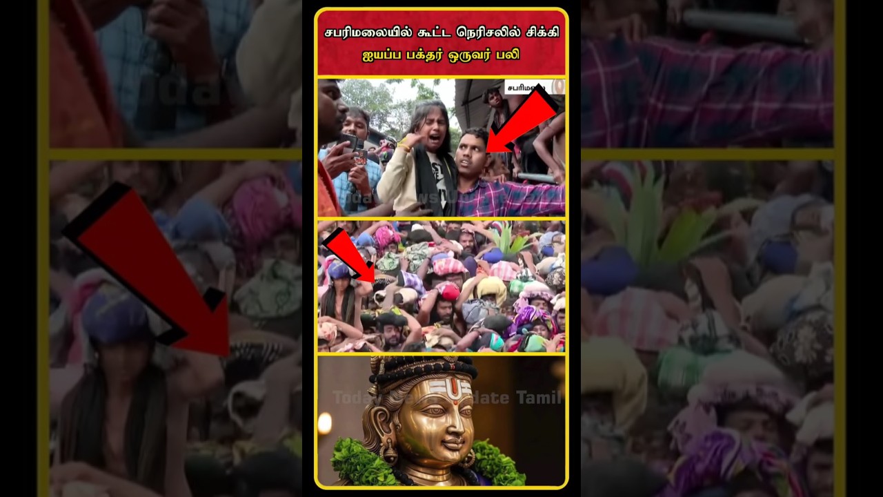 Sabarimala Latest News Today | Sabarimala News | Sabarimala Crowd Today | Sabarimala Rush | 