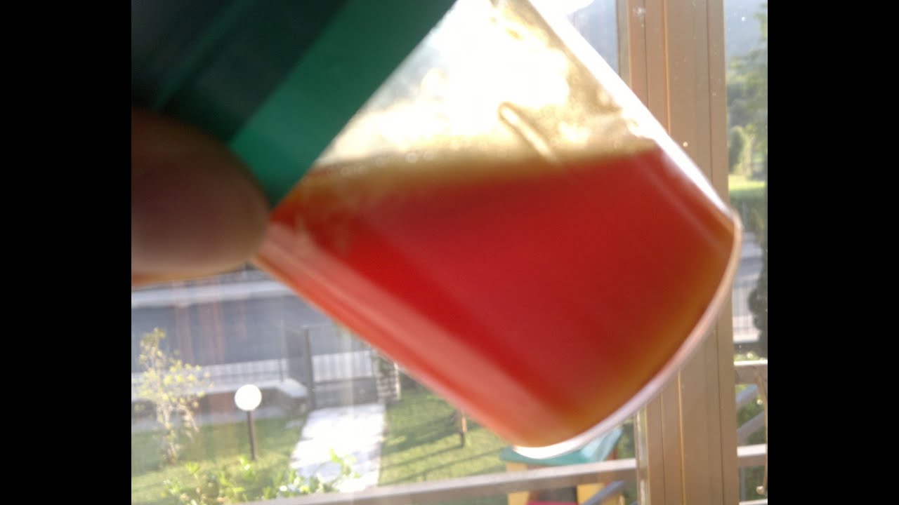 Fermentare e predigerire, liquid food self made