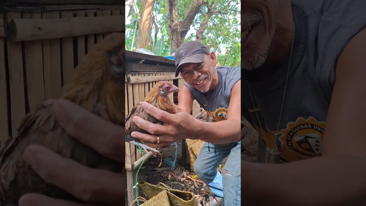 MGA MAIILAP NA LABUYO ANG BAGO KONG AALAGAAN || Juan Lagalag 