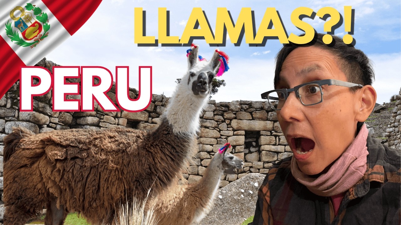 This Cusco Bus Tour Had LLAMAS?! 🦙🇵🇪”