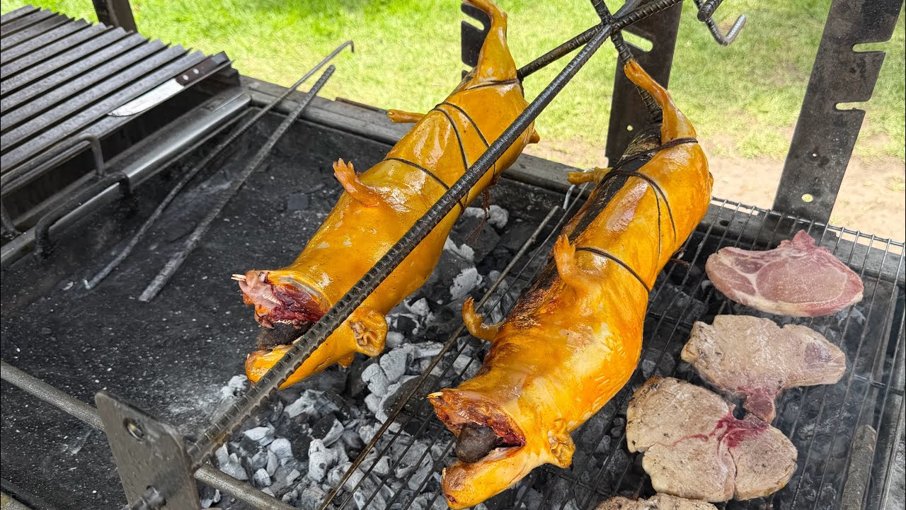Мясо крысы Куй
