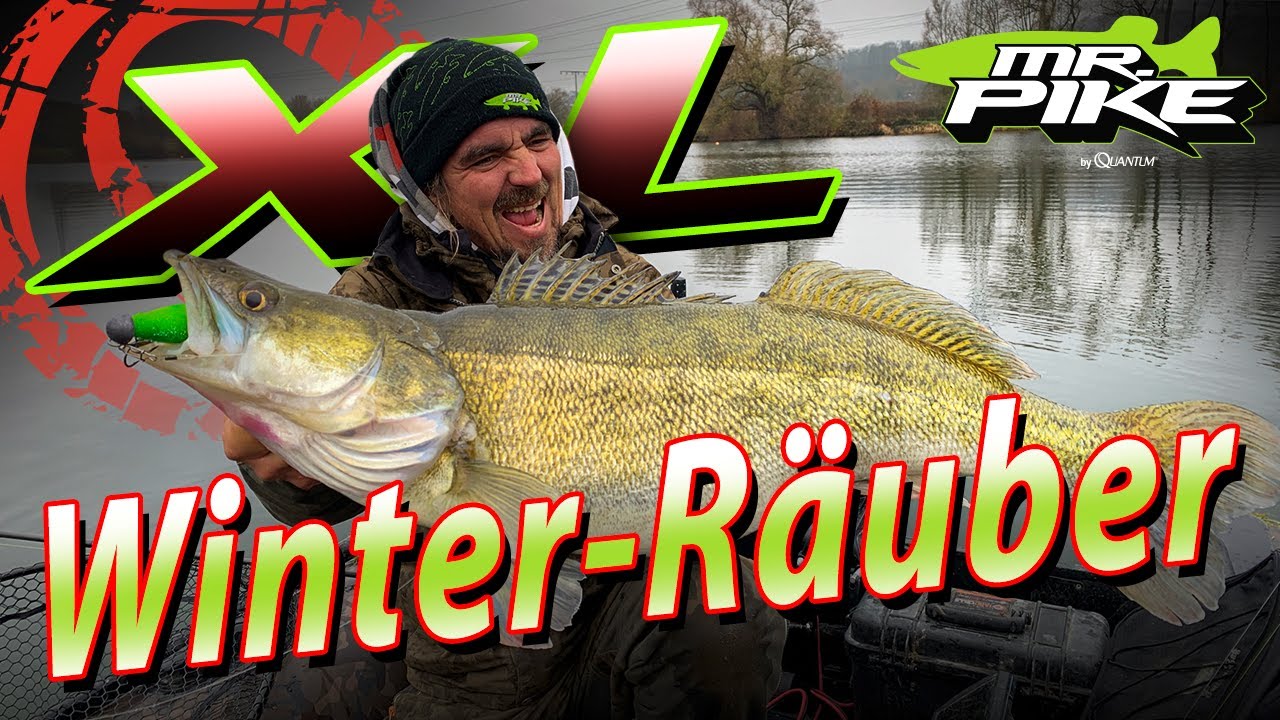 HECHT und ZANDERANGELN im Winter | Der BESTE Angeltag | Köderfisch aufgepoppt und Gummi serviert