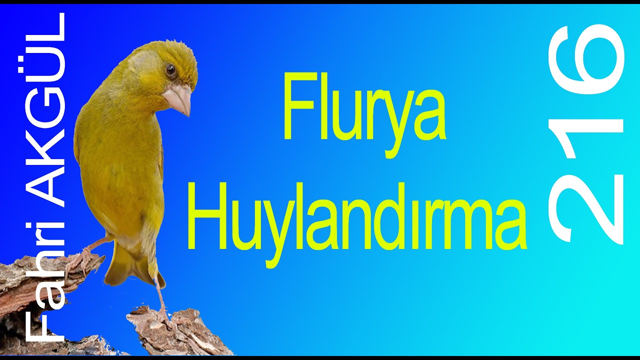 Fahri AKGÜL - Flurya Huylandırma 216