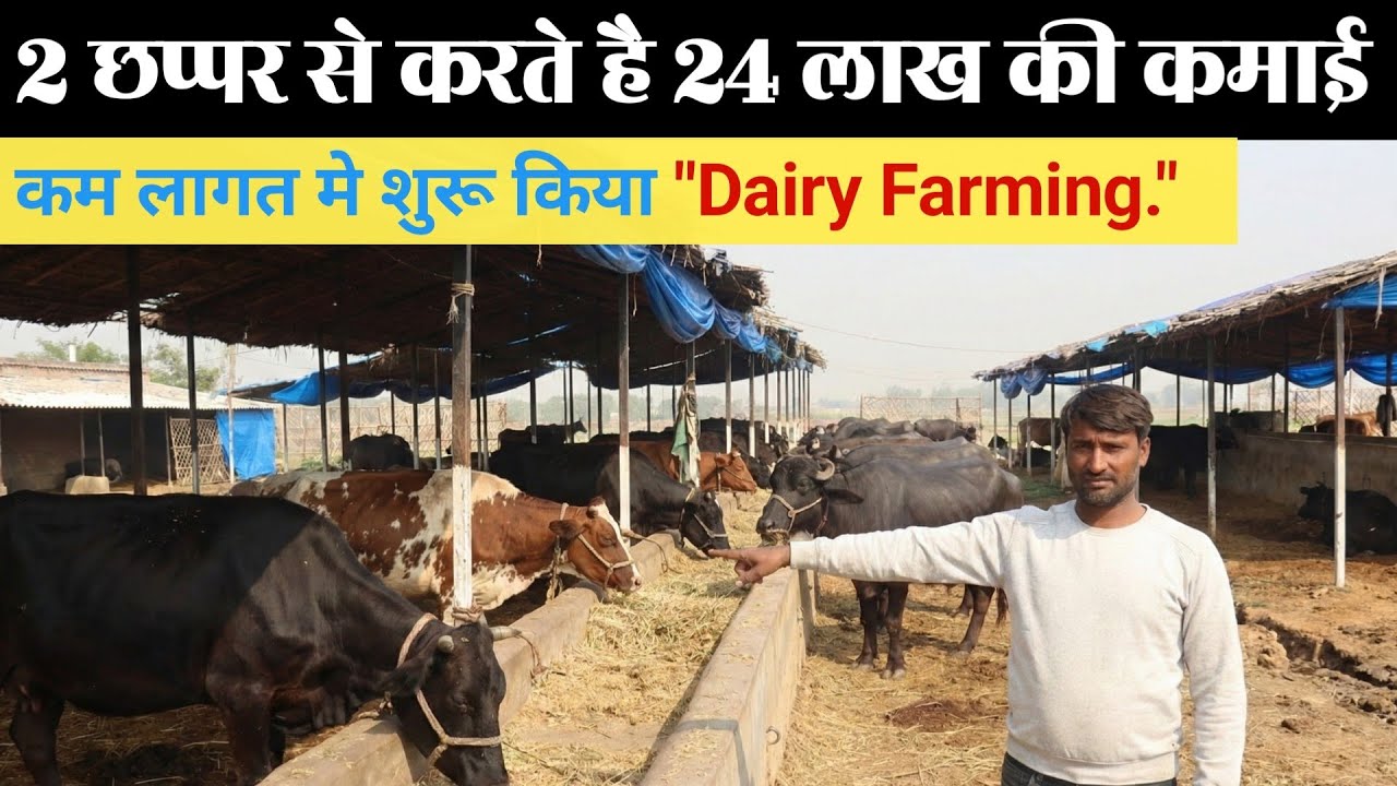 2 छप्पर मे 45 पशु ,400 ली. दूध से महीने मे 2 लाख की बचत | कम लागत मे पशु पालन #dairyfarm #prayagraj