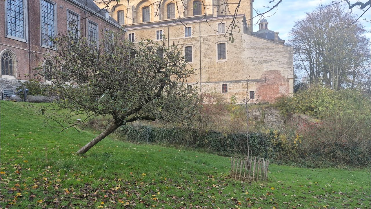 Gent | Sint Pietersabdij – Herfststilte in de abdijtuin