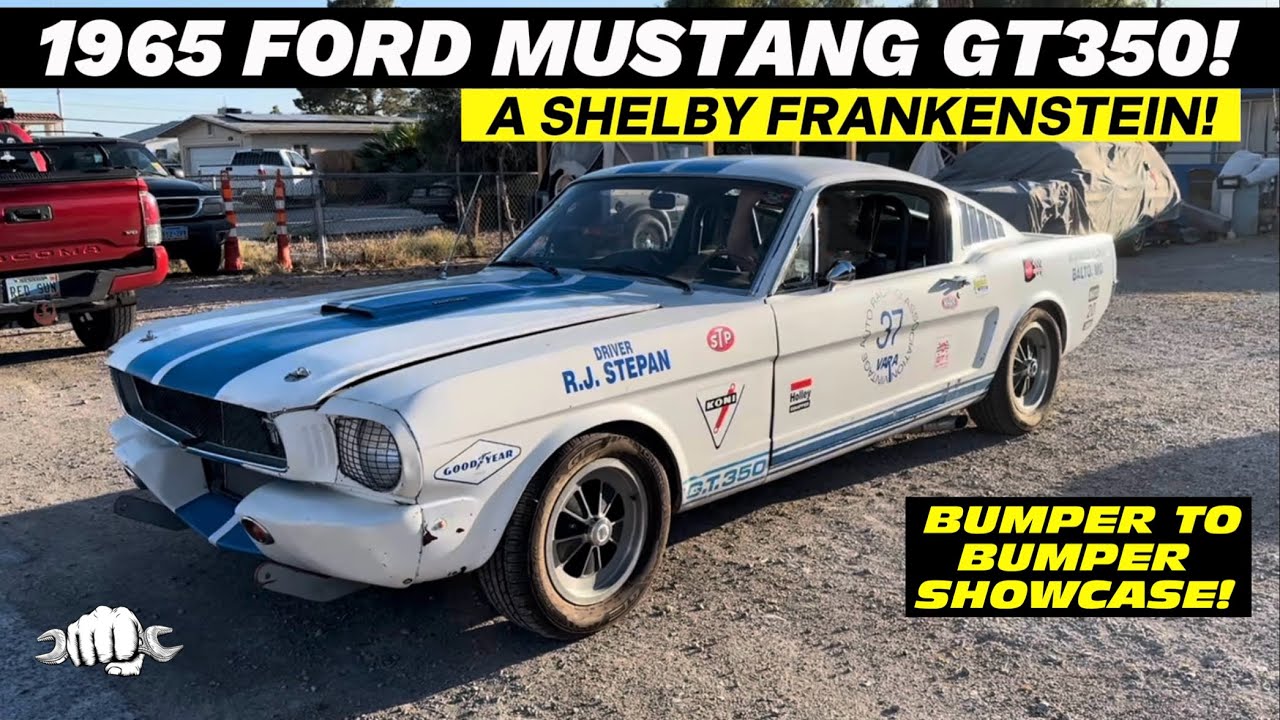 FORD MUSTANG GT350 1965 года! Шелби Франкенштейн! Шоу от бампера до бампера!