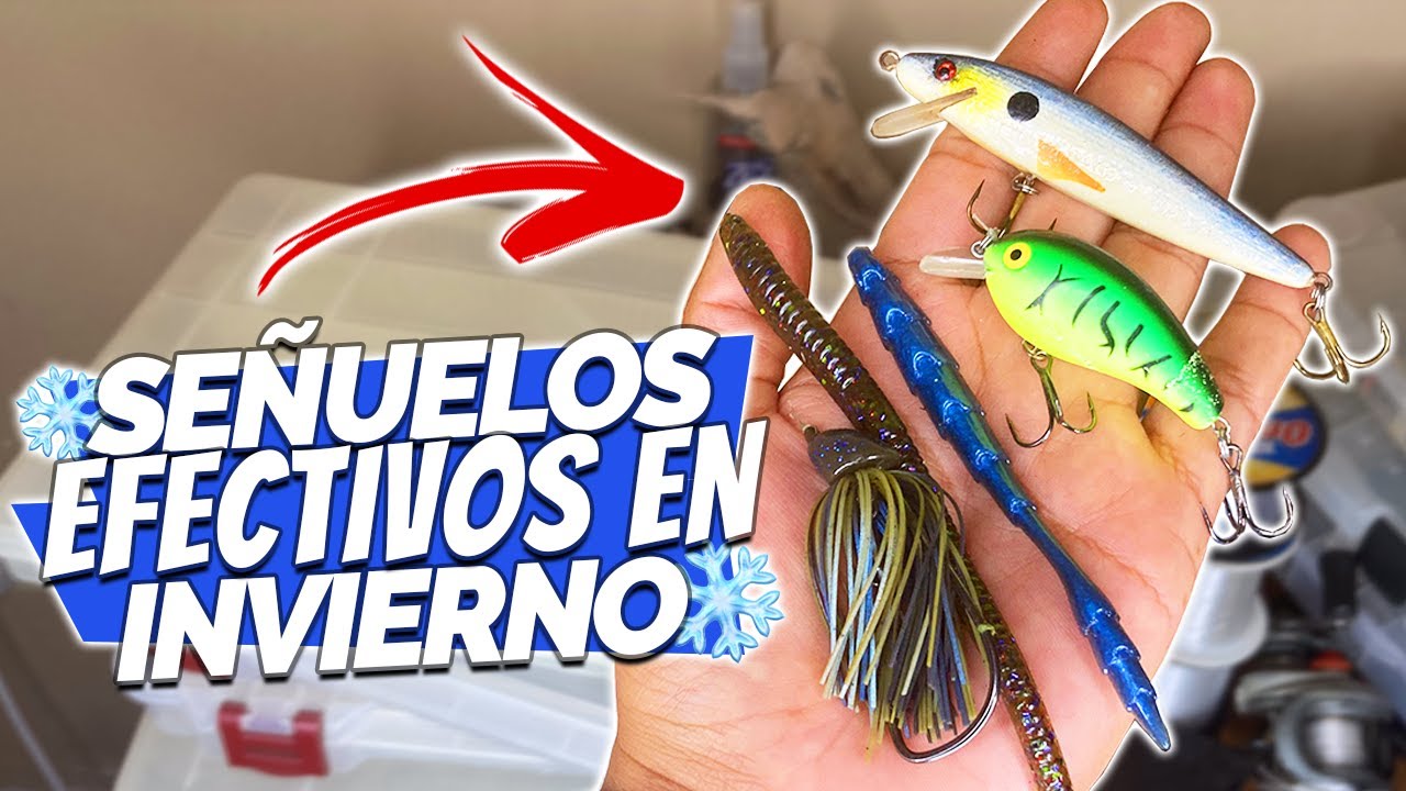 MEJORES SE&Ntilde;UELOS para pescar LOBINAS EN INVIERNO
