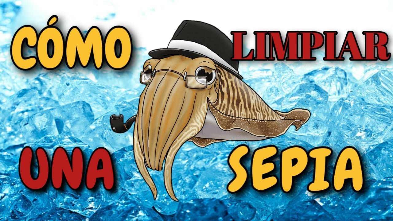 Como LIMPIAR una SEPIA SUCIA bien FRESCA y BLANCA