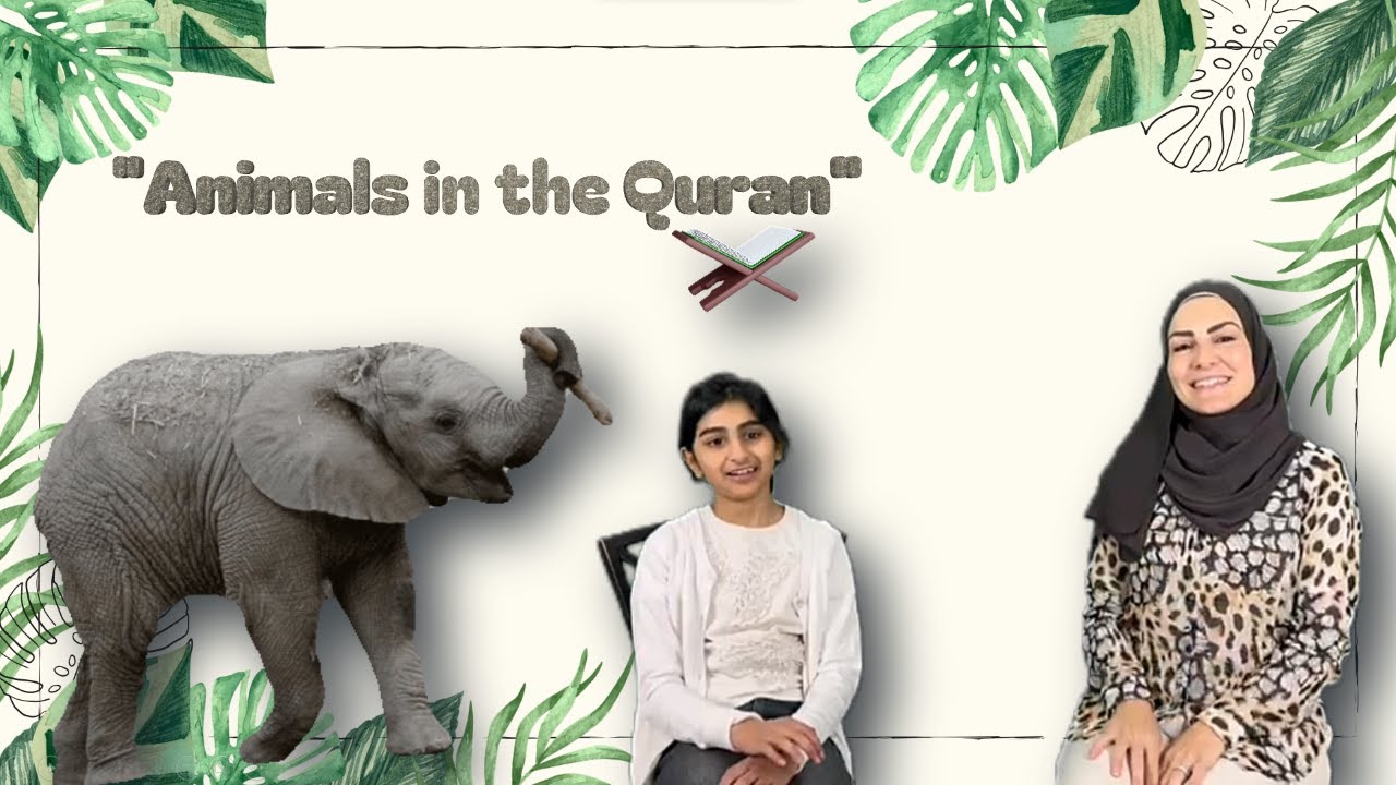 Animals in the Quran- The Elephant🐘