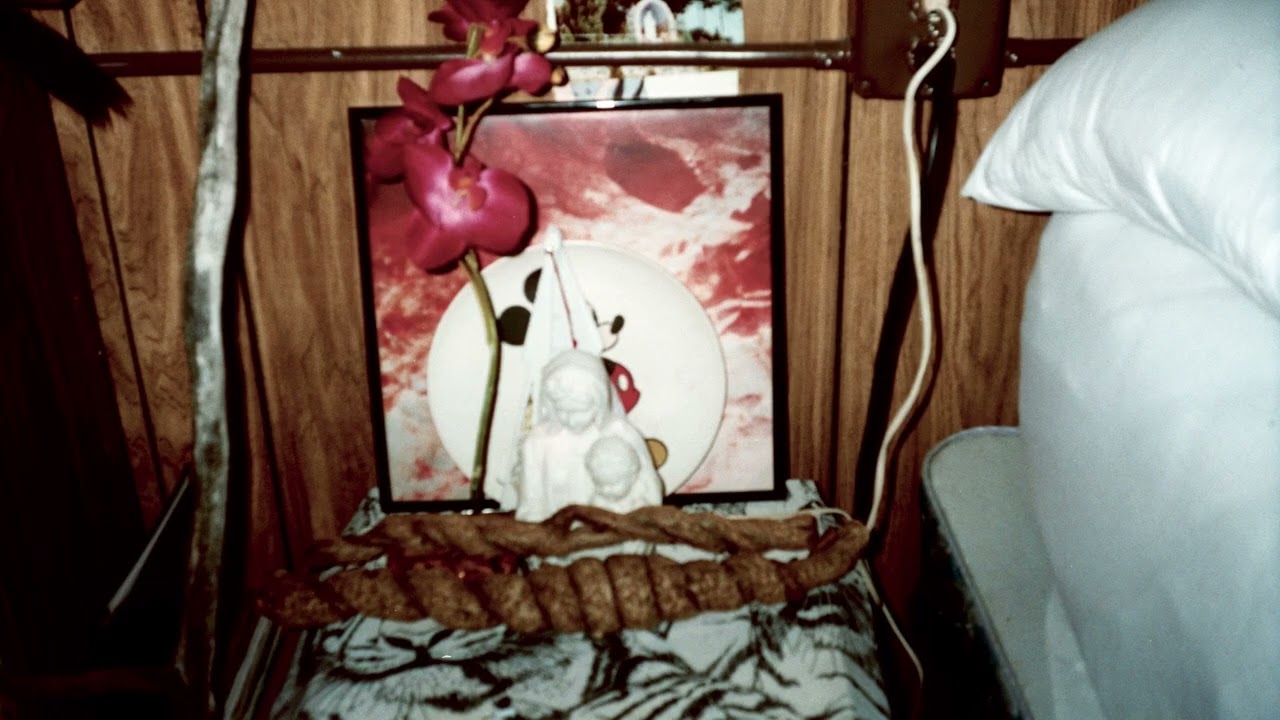 SALEM — snake bones