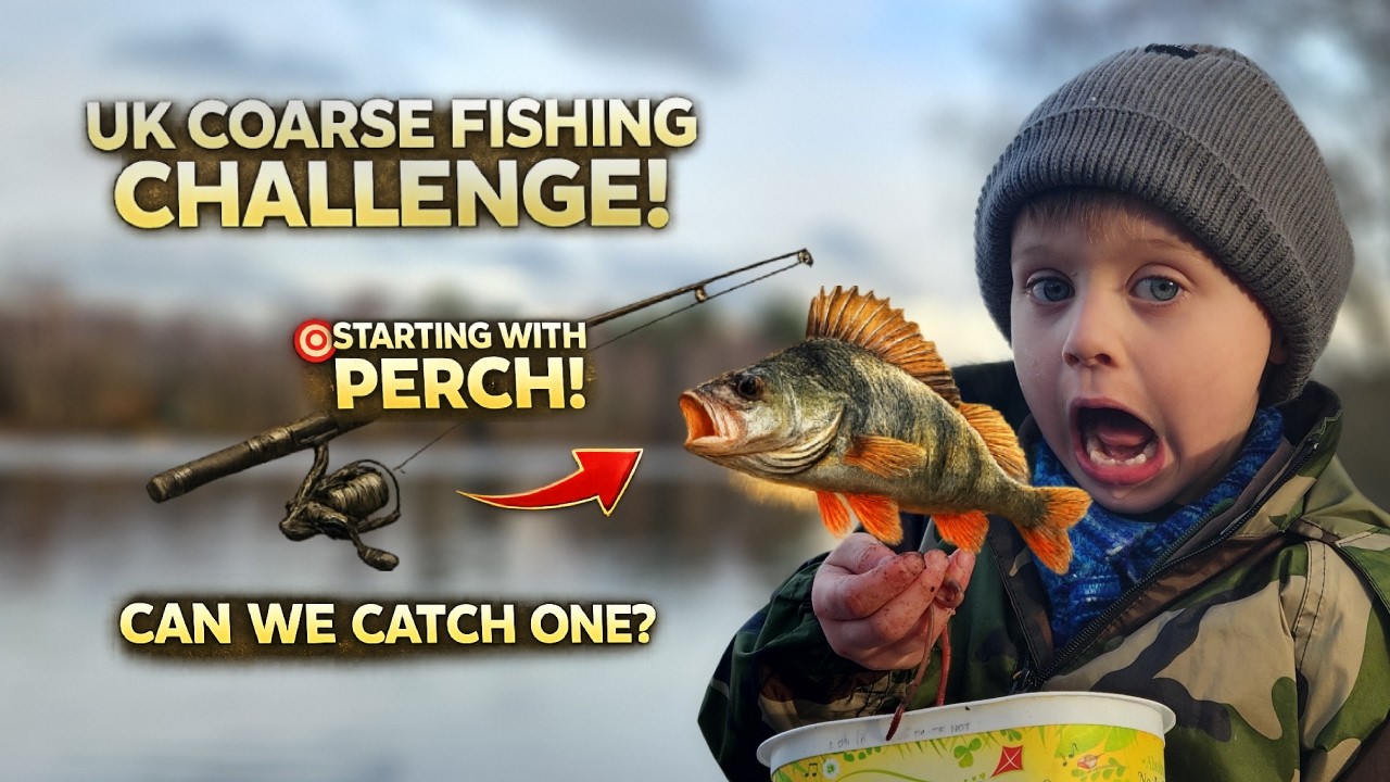 Catching Perch With My 5 Year Old | UK Species Challenge Begins