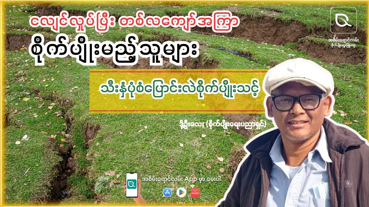 ငလျင်လှုပ်ပြီးနောက် စိုက်ပျိုးသူများ သိထားသင့်တဲ့ စိုက်ပျိုးနည်းစနစ်များ