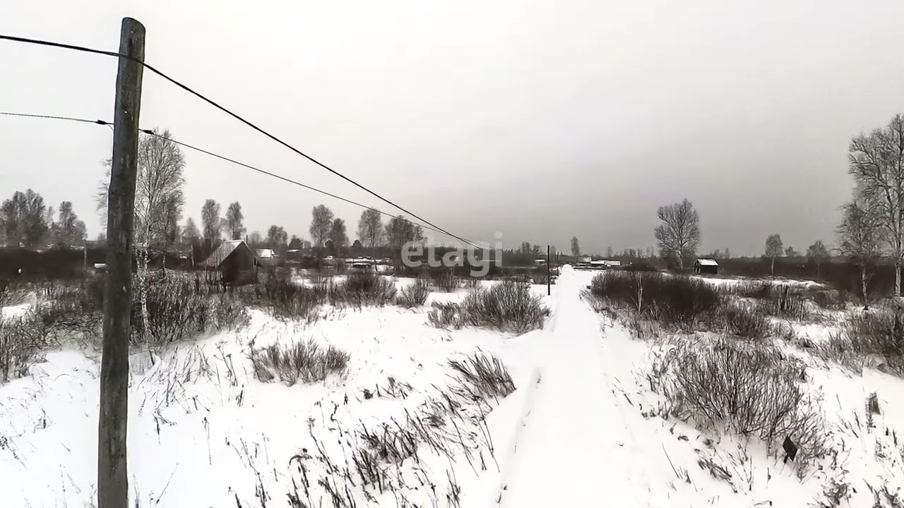11941697