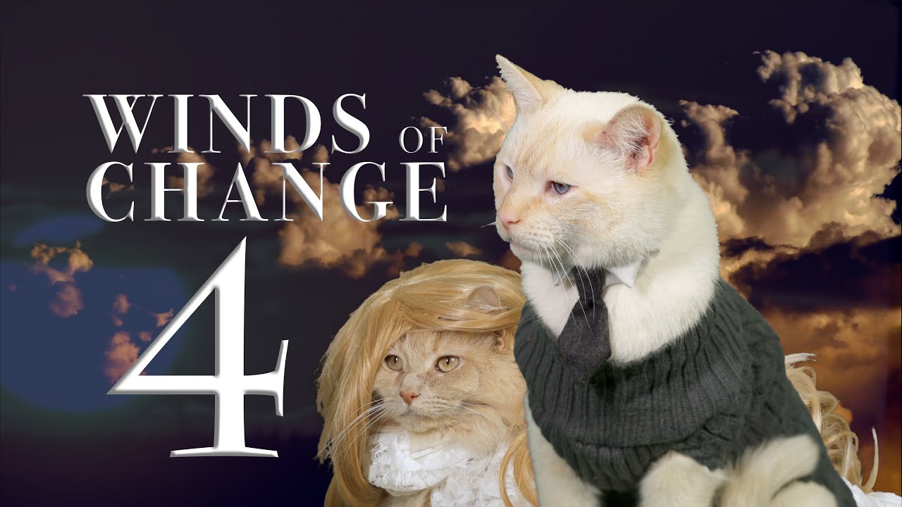 Winds of Change (Cat Soap Opera) Episode 4